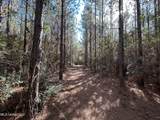 . Dwain Road - Photo 19