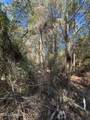 . Dwain Road - Photo 2