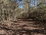 . Dwain Road - Photo 22