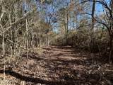 . Dwain Road - Photo 23