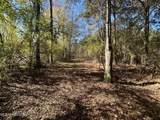 . Dwain Road - Photo 24