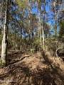 . Dwain Road - Photo 25