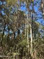 . Dwain Road - Photo 27