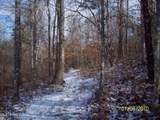 County Road 413 - Photo 2