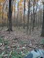  County Road 413 - Photo 4