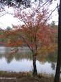  County Road 413 - Photo 7