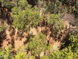  Old Hwy 49 - Photo 12