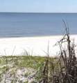 1602 Beach Boulevard - Photo 6