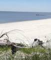 1602 Beach Boulevard - Photo 7