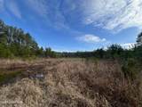 40 Acres Off Deep Creek Road - Photo 10