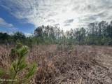40 Acres Off Deep Creek Road - Photo 11