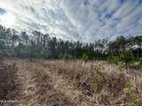 40 Acres Off Deep Creek Road - Photo 12