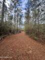 40 Acres Off Deep Creek Road - Photo 16