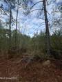 40 Acres Off Deep Creek Road - Photo 17
