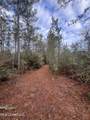 40 Acres Off Deep Creek Road - Photo 19