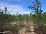 40 Acres Off Deep Creek Road - Photo 2