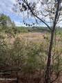 40 Acres Off Deep Creek Road - Photo 20