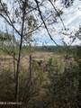 40 Acres Off Deep Creek Road - Photo 22
