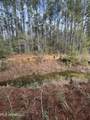 40 Acres Off Deep Creek Road - Photo 24