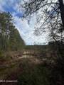 40 Acres Off Deep Creek Road - Photo 25