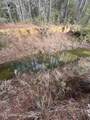 40 Acres Off Deep Creek Road - Photo 26