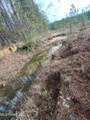 40 Acres Off Deep Creek Road - Photo 27