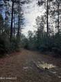 40 Acres Off Deep Creek Road - Photo 3