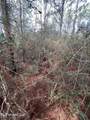 40 Acres Off Deep Creek Road - Photo 32