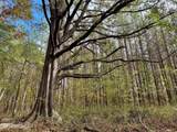  Yandell Road - Photo 1