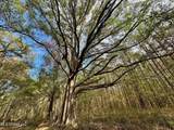  Yandell Road - Photo 14
