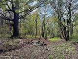  Yandell Road - Photo 16