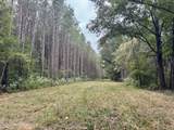  Yandell Road - Photo 20