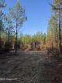  Pat Hickman Road - Photo 6