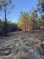  Pat Hickman Road - Photo 8