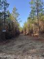  Pat Hickman Road - Photo 9