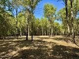 001 Highway 16 - Photo 24