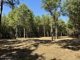 001 Highway 16 - Photo 33