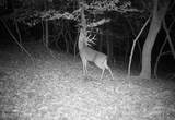  Henderson Road - Photo 46