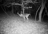  Henderson Road - Photo 47