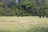  Lower Rockport Road - Photo 10