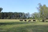  Lower Rockport Road - Photo 9