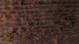  Alexander Street - Photo 6