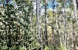  Jeff Road - Photo 1
