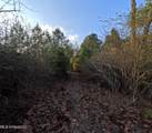  County Line Road - Photo 15