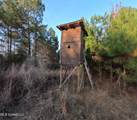  County Line Road - Photo 16