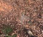  County Line Road - Photo 22