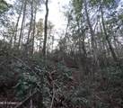  County Line Road - Photo 31