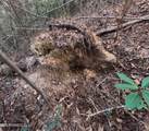  County Line Road - Photo 33