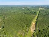 121 Acres Old Highway 49 - Photo 14