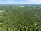 121 Acres Old Highway 49 - Photo 15